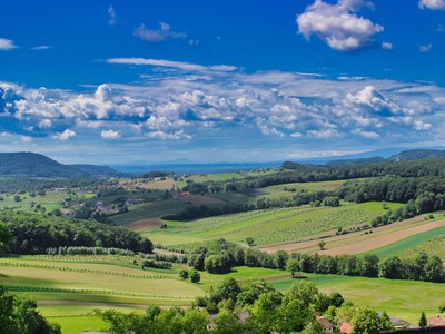 Schönheiten der Steiermark mit Wein & Genuss