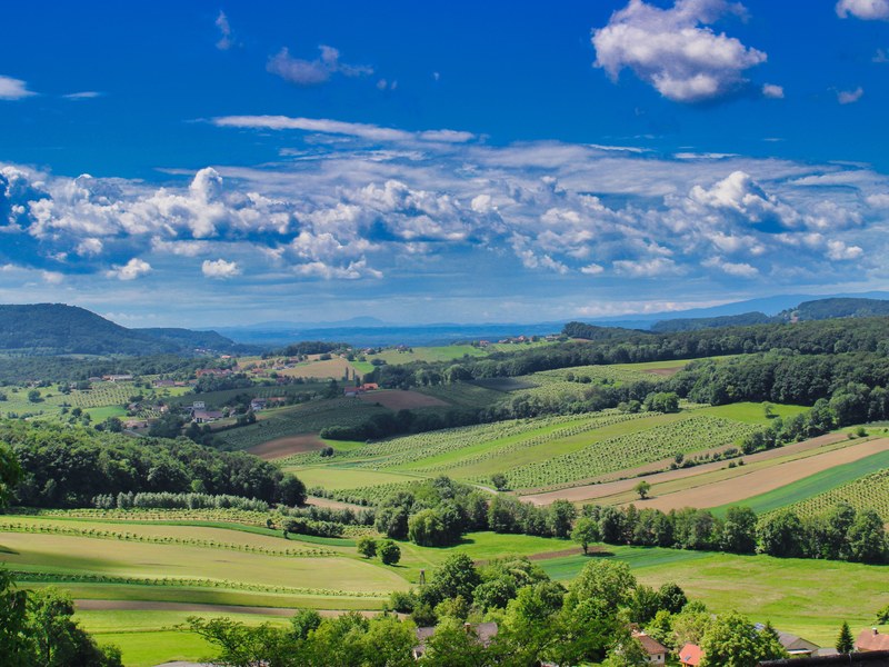 Schönheiten der Steiermark mit Wein & Genuss Schönheiten der Steiermark mit Wein & Genuss